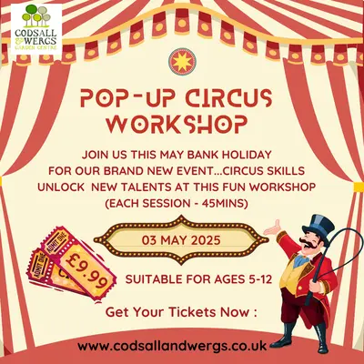 CIRCUS SKILLS WORKSHOP