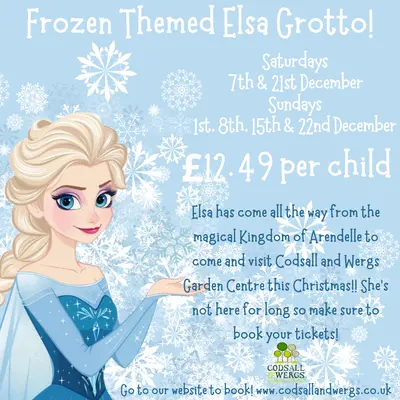 Elsa's Grotto