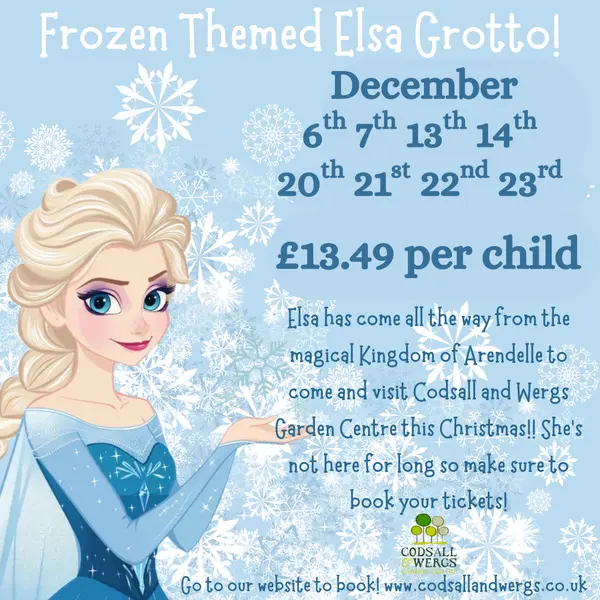Elsa's Grotto