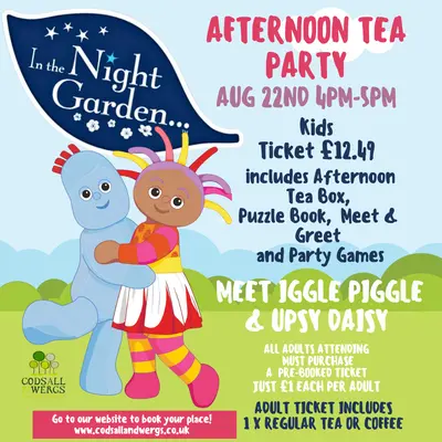In The Night Garden Afternoon Tea Party! 