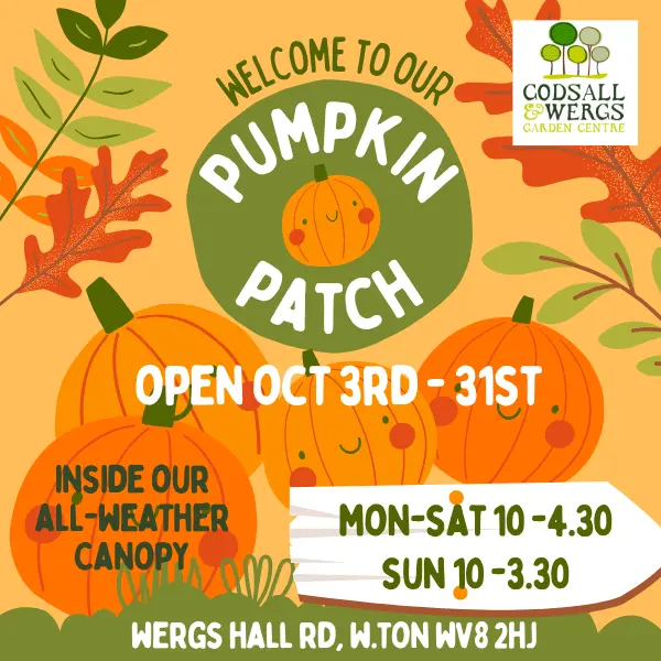 Pumpkin Patch