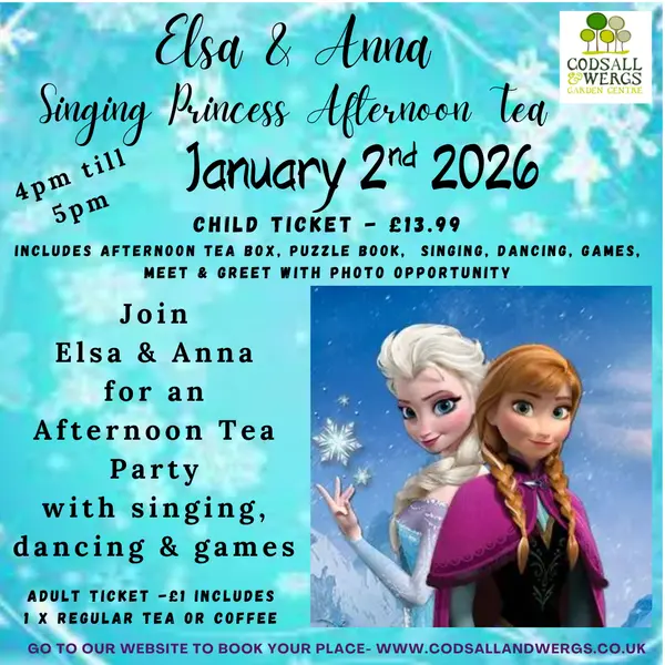 Singing Princess Afternoon Tea Party