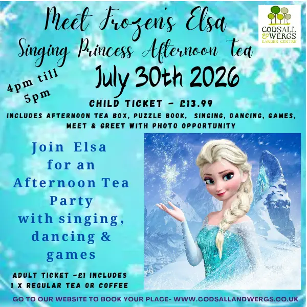 Singing Princess Elsa - Tea Party
