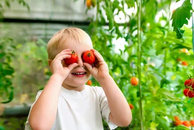 Perfect Vegetable Garden Plants for Kids