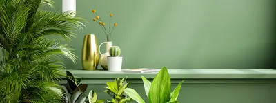 Start the Year Fresh with These Trendy Green Foliage Plants