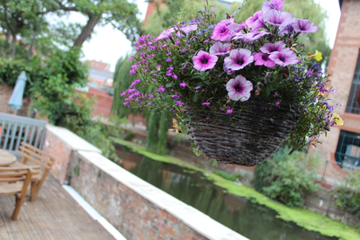 Watering hanging baskets