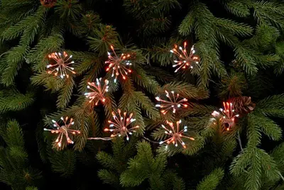 10 Twinkling Starburst Lights - Red/White