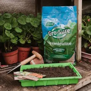 Westland Gro-Sure Vermiculite 10L - image 2